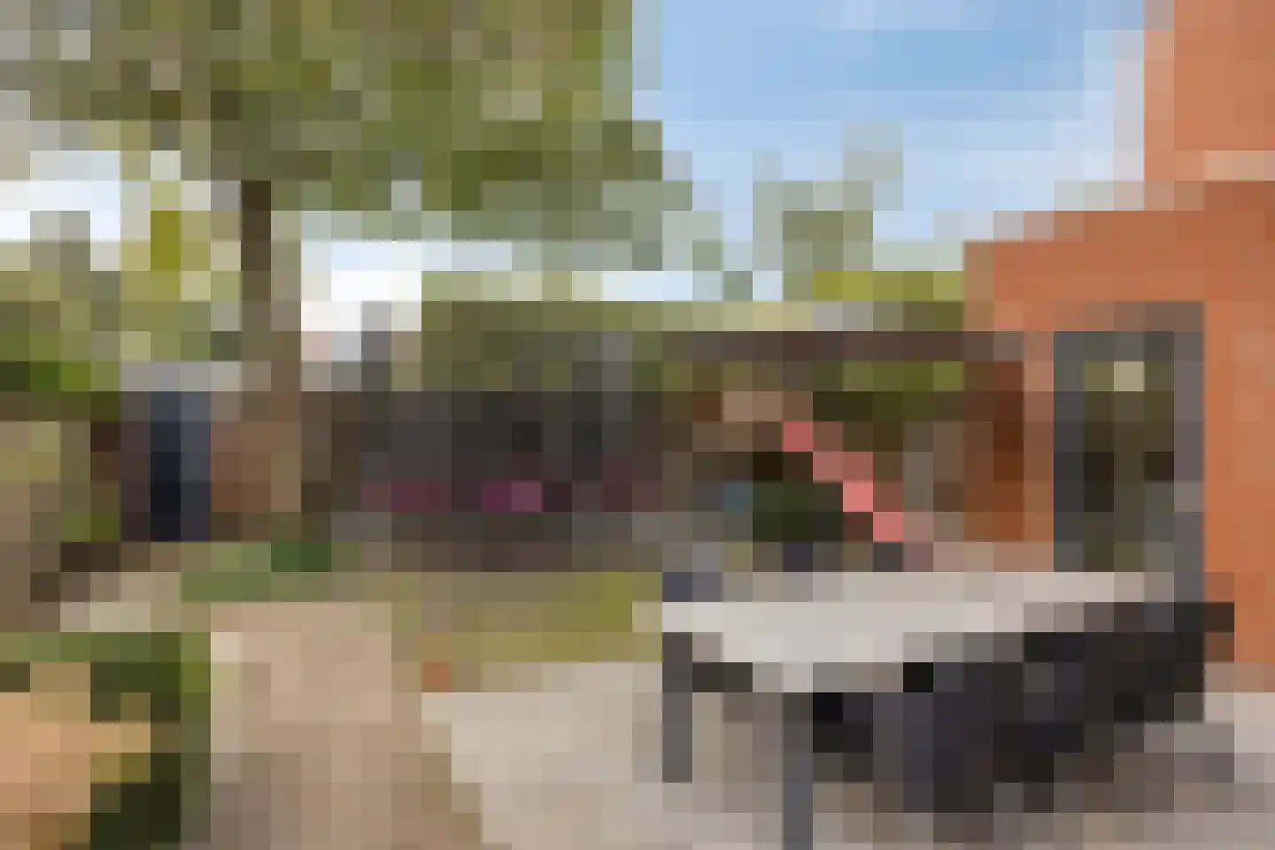 Rijnstraat 10 Budel thumbnail 23