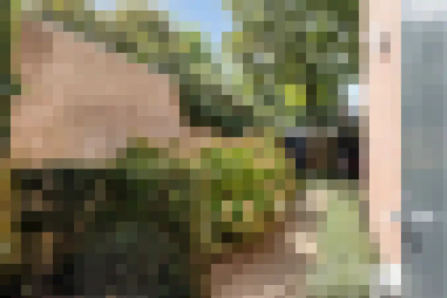 Rijnstraat 10 Budel thumbnail 24