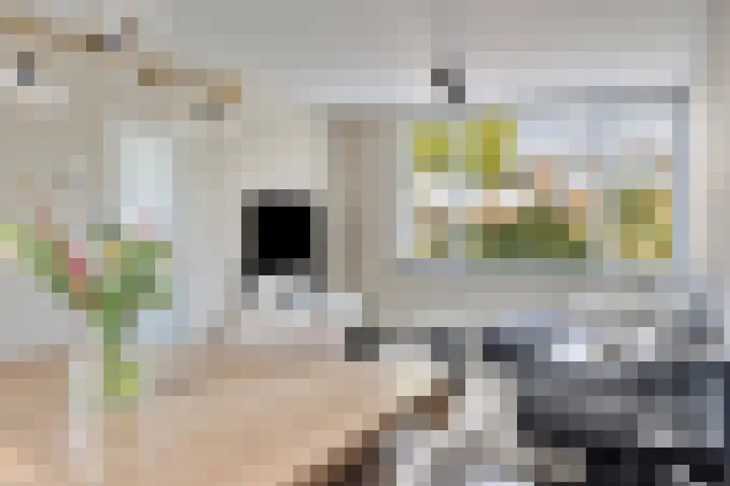 Rijnstraat 10 Budel thumbnail 4