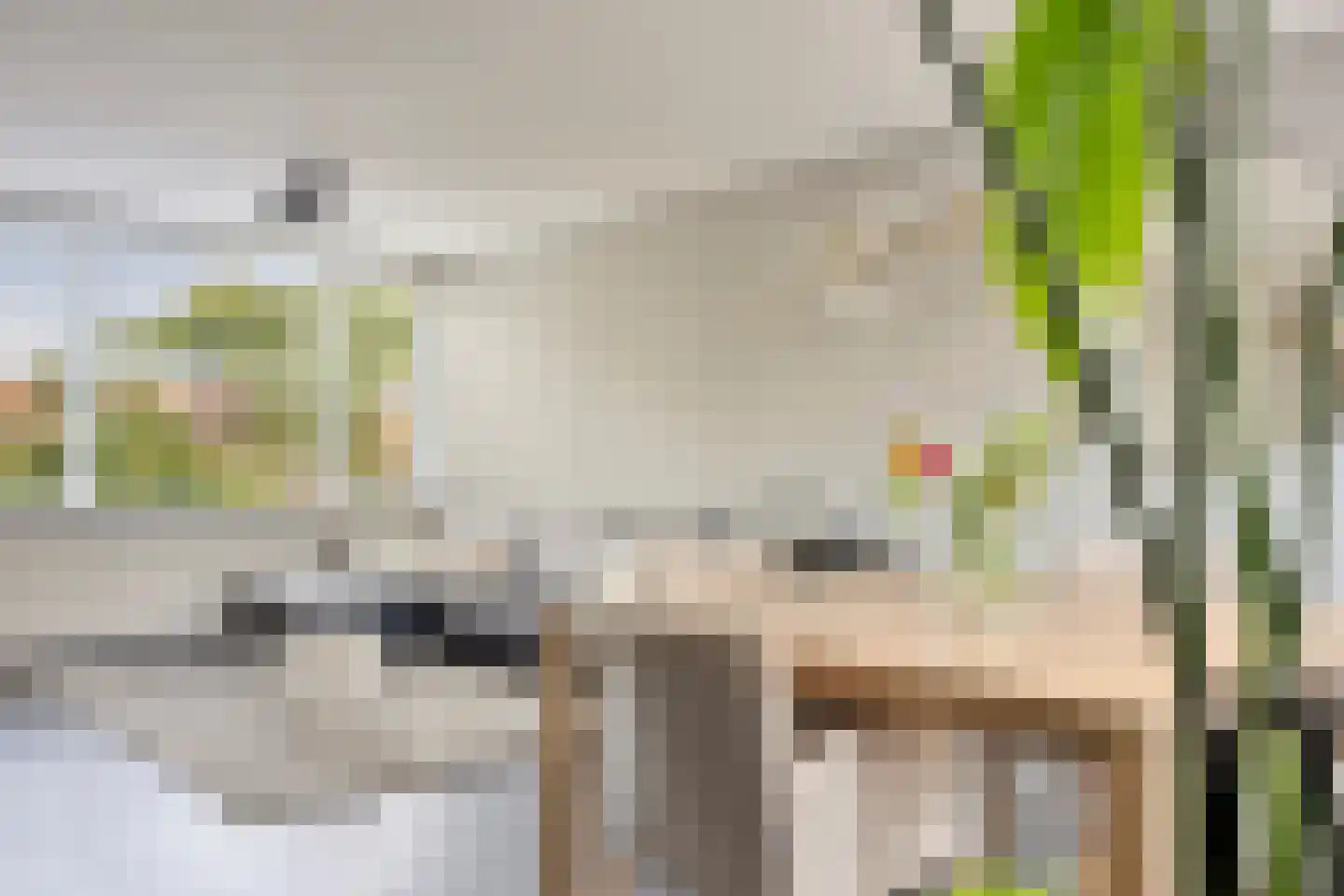 Rijnstraat 10 Budel thumbnail 5