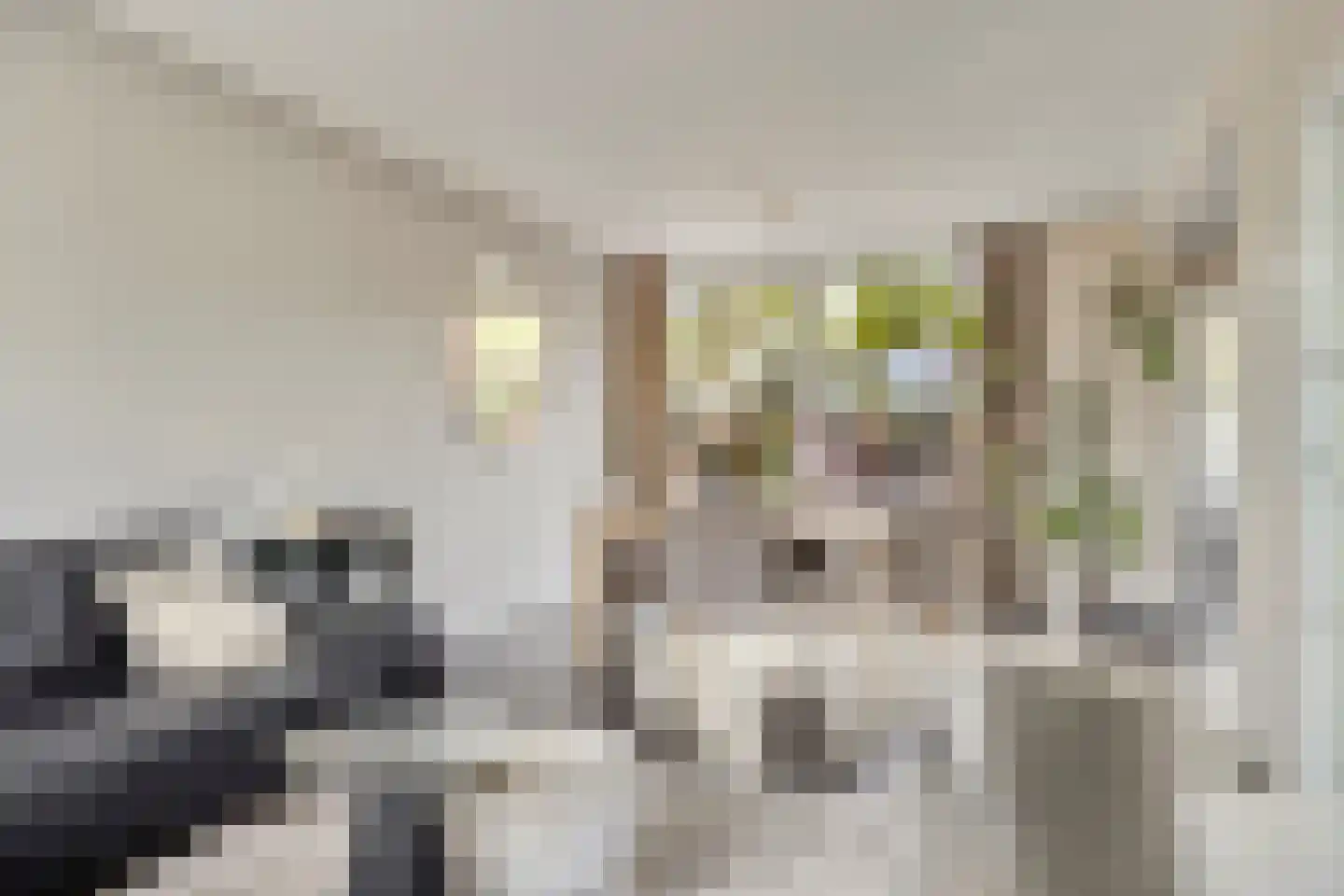 Rijnstraat 10 Budel thumbnail 6