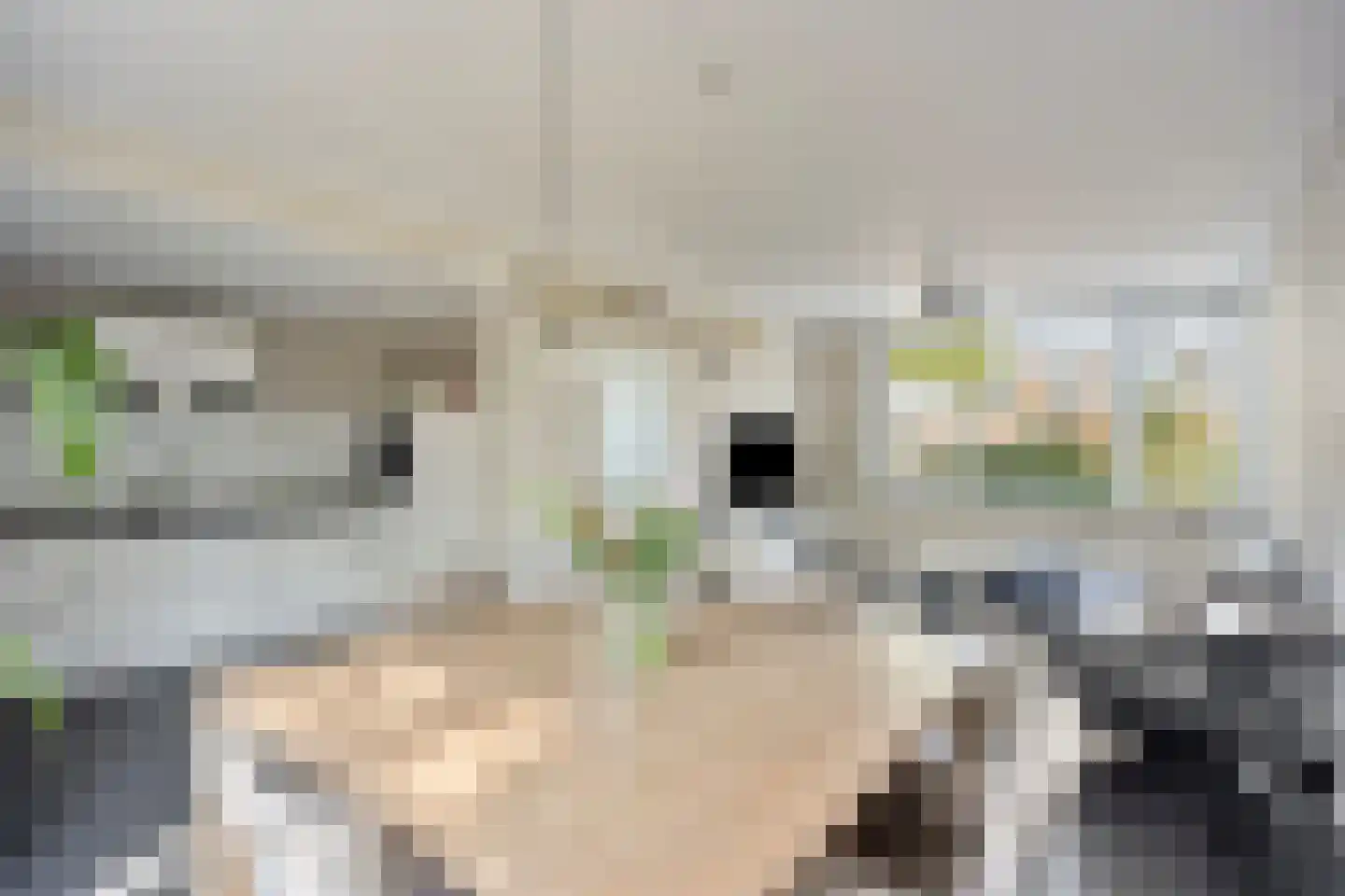 Rijnstraat 10 Budel thumbnail 7