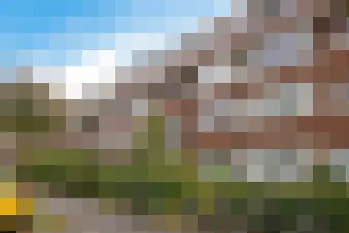 Rijnstraat 10 Groningen thumbnail 11