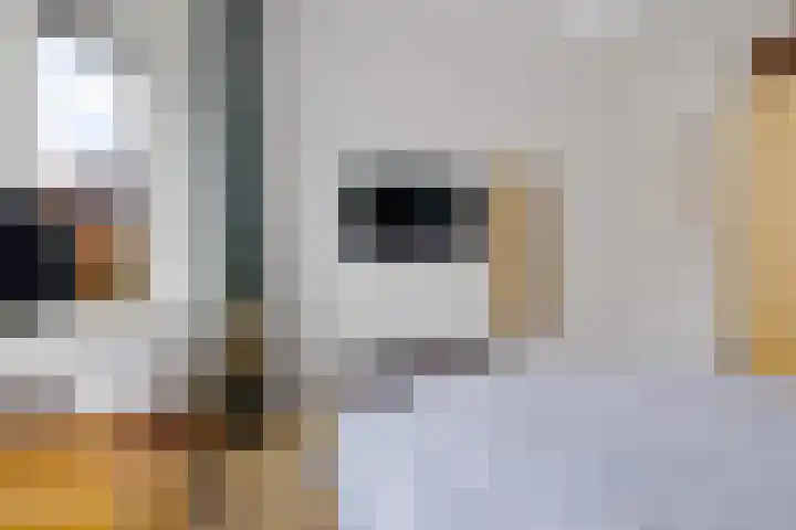 Rijnstraat 10 Groningen thumbnail 32