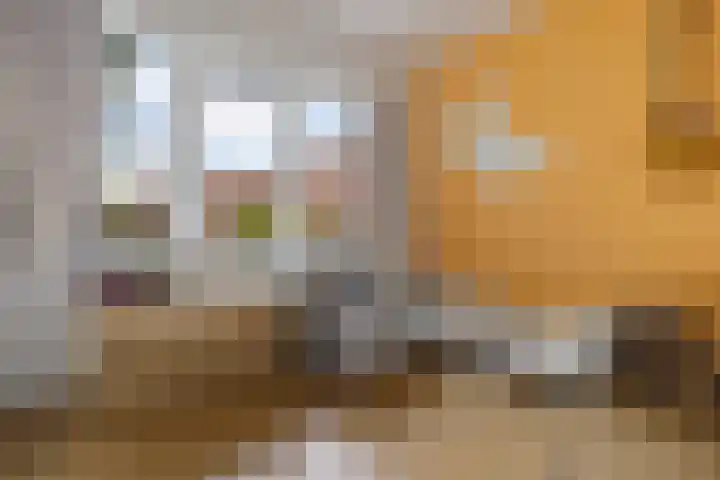 Rijnstraat 10 Groningen thumbnail 40