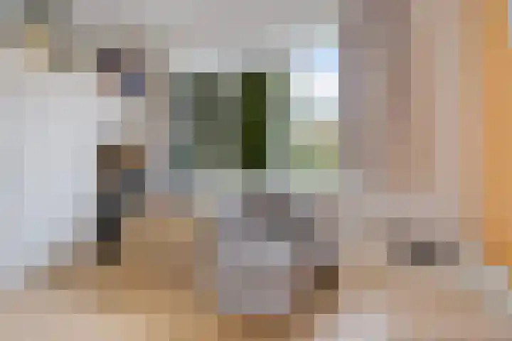 Rijnstraat 10 Groningen thumbnail 42