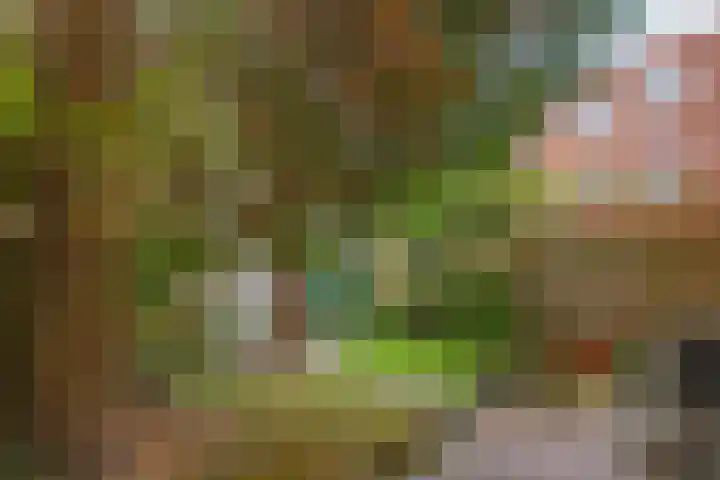 Rijnstraat 10 Groningen thumbnail 43
