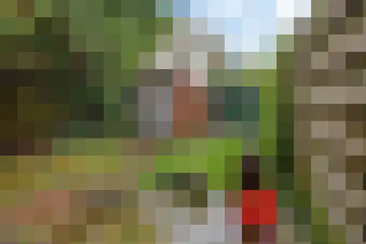 Rijnstraat 10 Groningen thumbnail 44