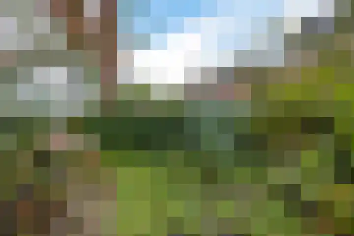 Rijnstraat 10 Groningen thumbnail 5