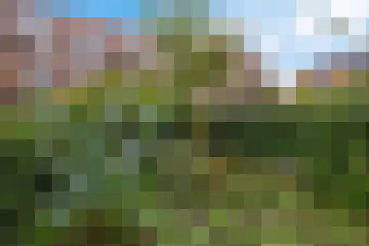 Rijnstraat 10 Groningen thumbnail 7