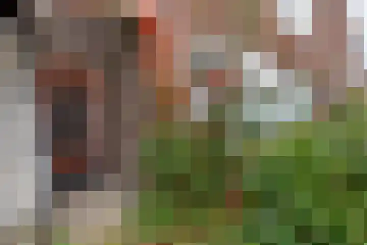 Rijnstraat 10 Groningen thumbnail 8