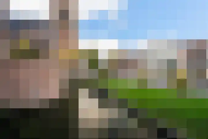 Rijnstraat 105 C Woerden thumbnail 53