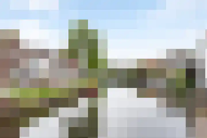 Rijnstraat 106 Katwijk thumbnail 35