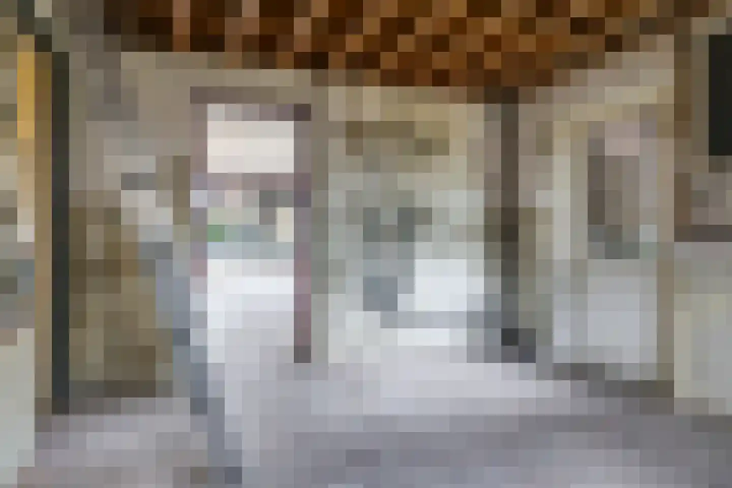 Rijnstraat 11 a Doornenburg thumbnail 18