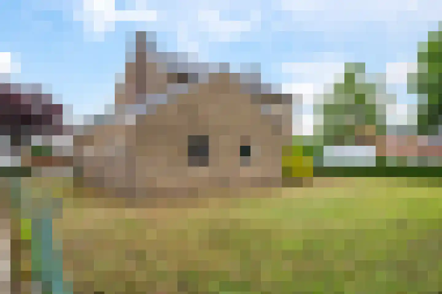 Rijnstraat 11 a Doornenburg thumbnail 26