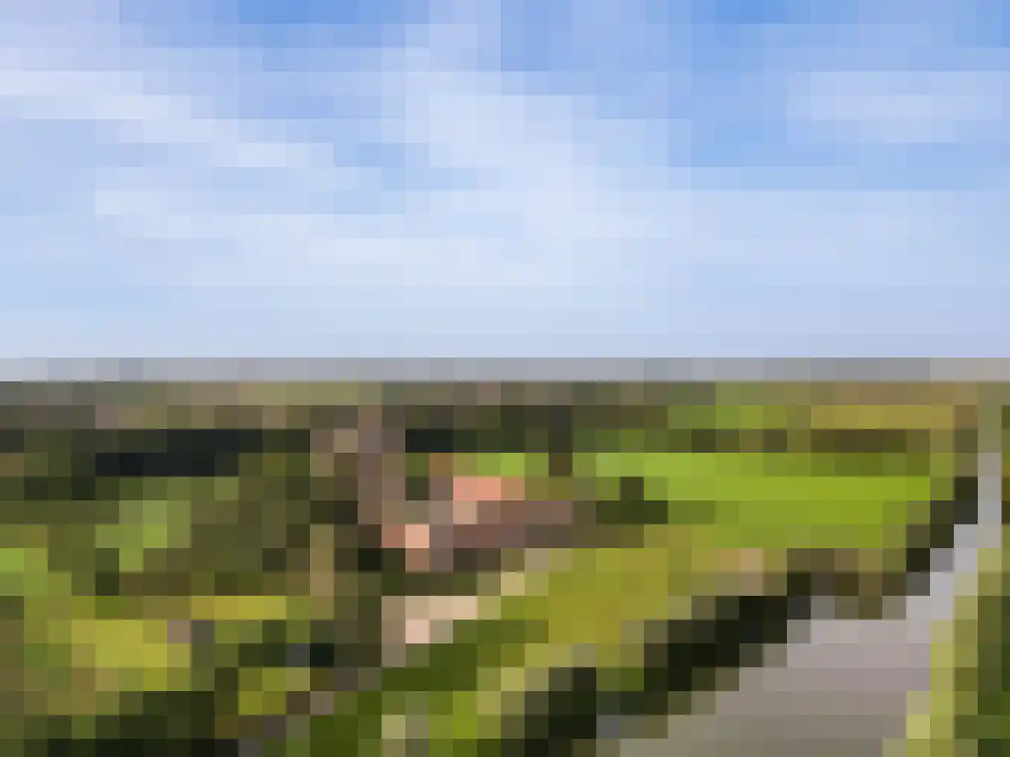 Rijnstraat 11 a Doornenburg thumbnail 32