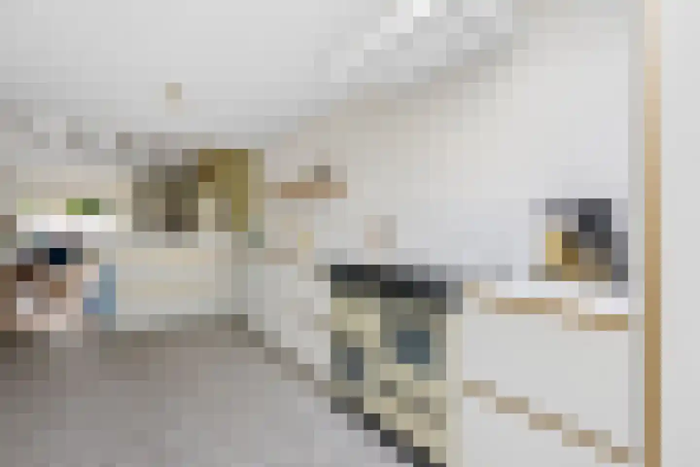 Rijnstraat 11 Amerongen thumbnail 12