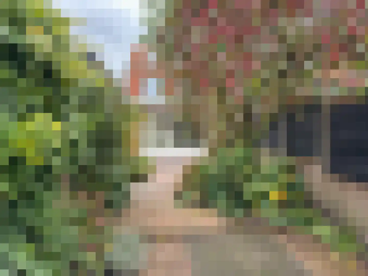 Rijnstraat 11 Amerongen thumbnail 23