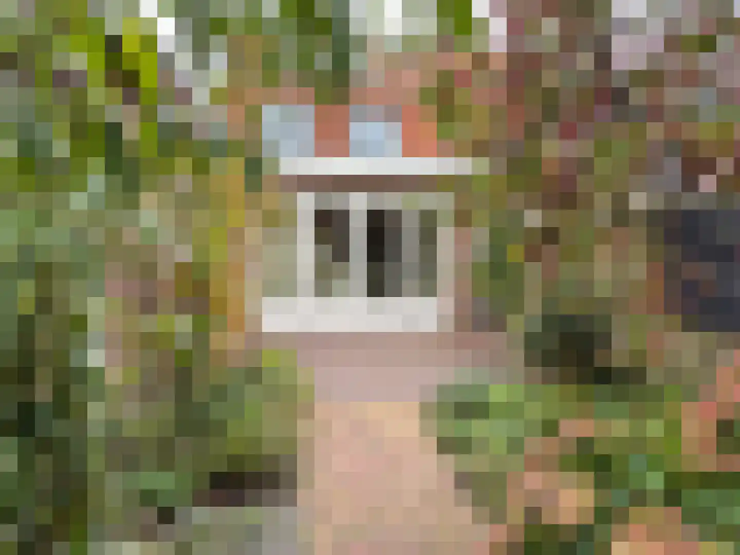 Rijnstraat 11 Amerongen thumbnail 24