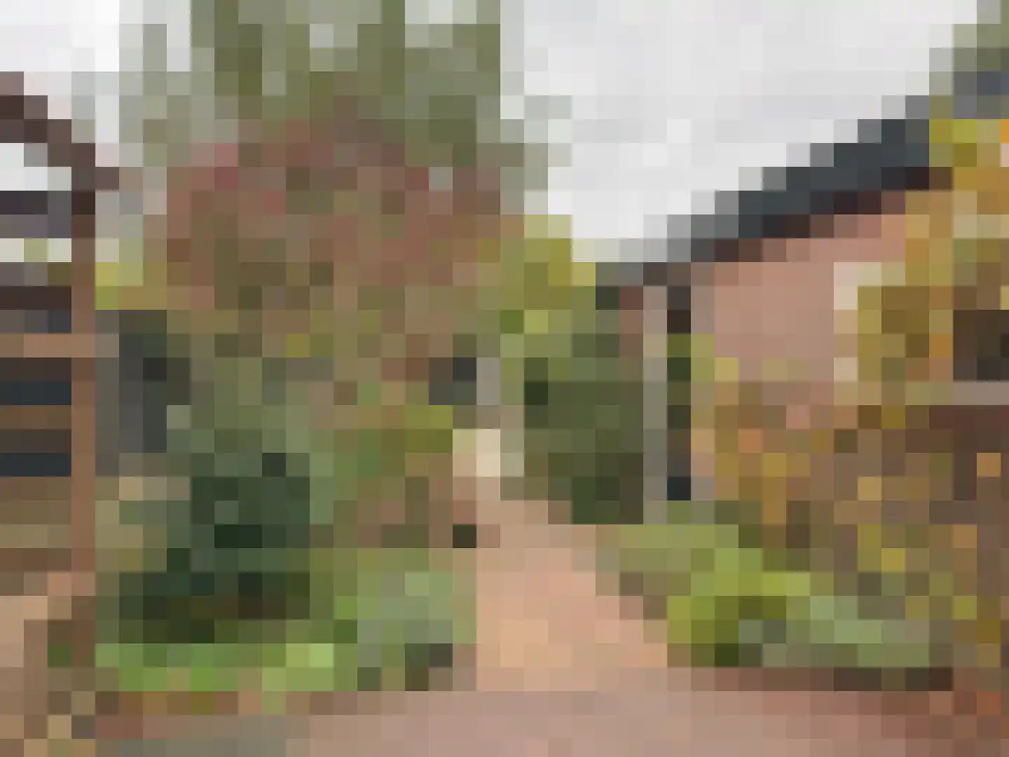 Rijnstraat 11 Amerongen thumbnail 25