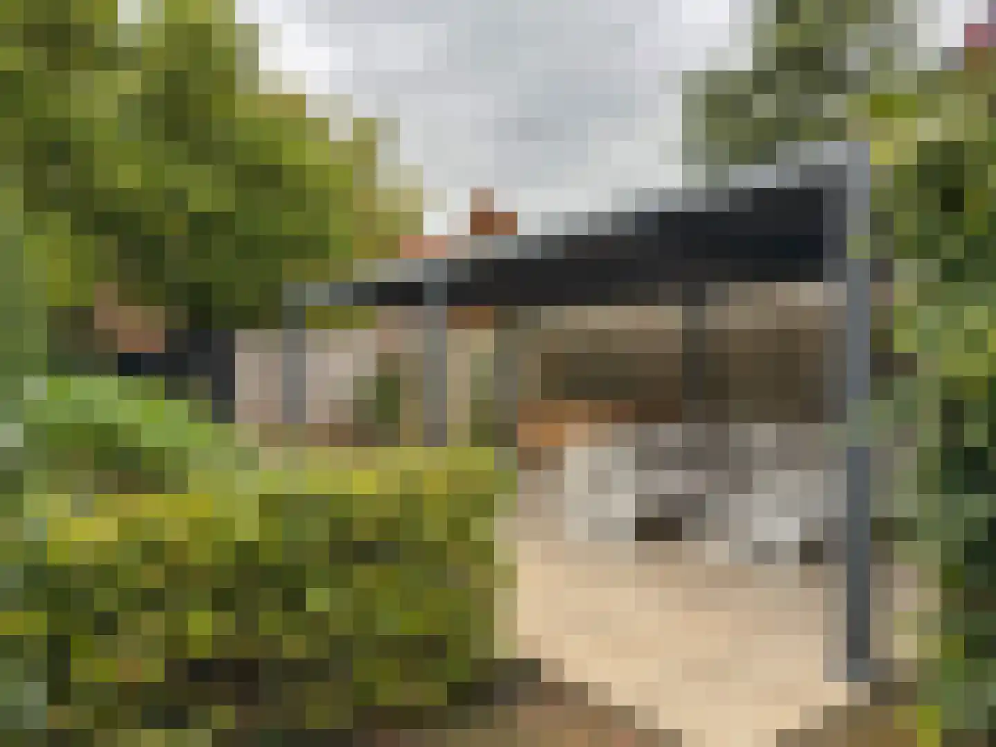 Rijnstraat 11 Amerongen thumbnail 26