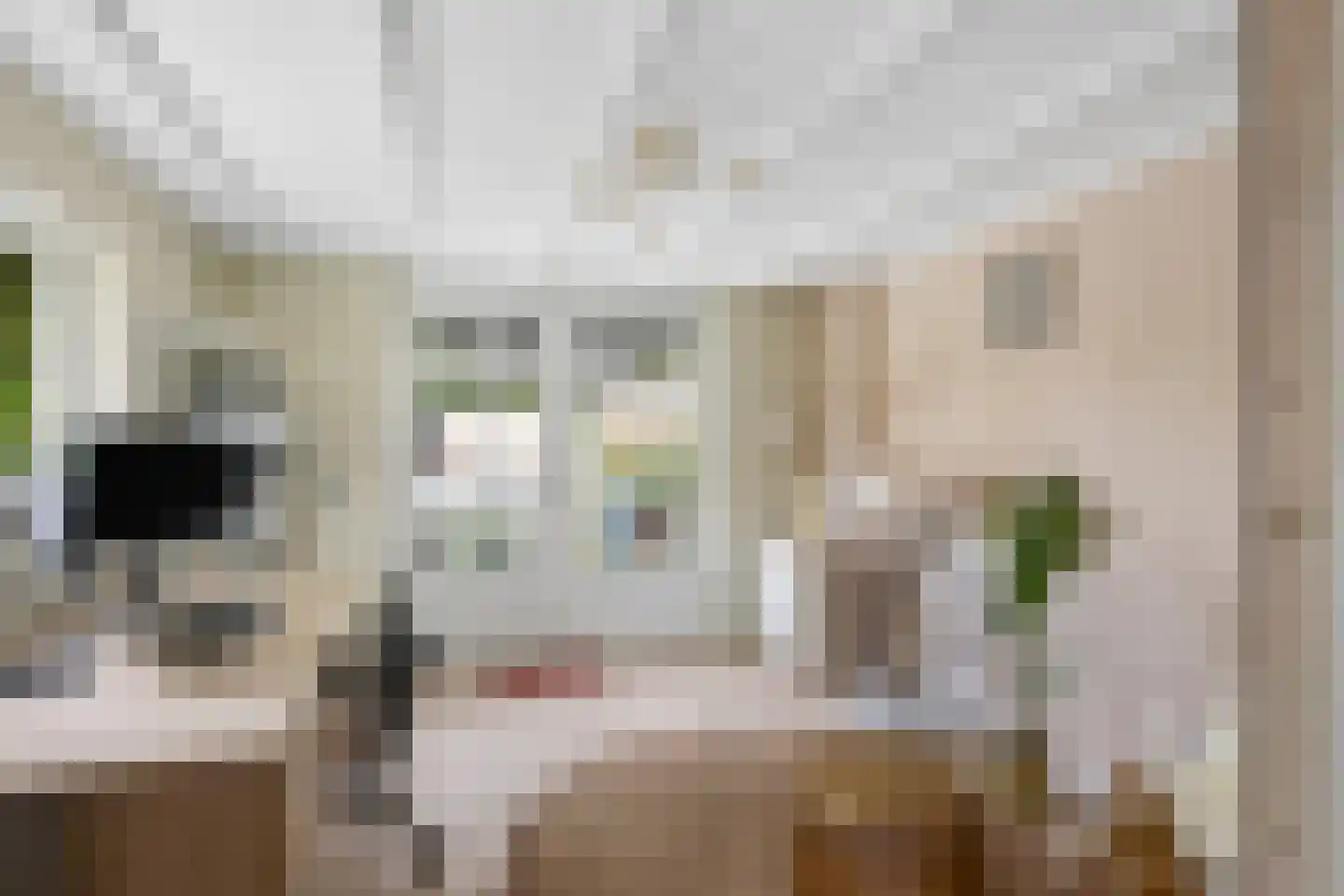 Rijnstraat 11 Amerongen thumbnail 32
