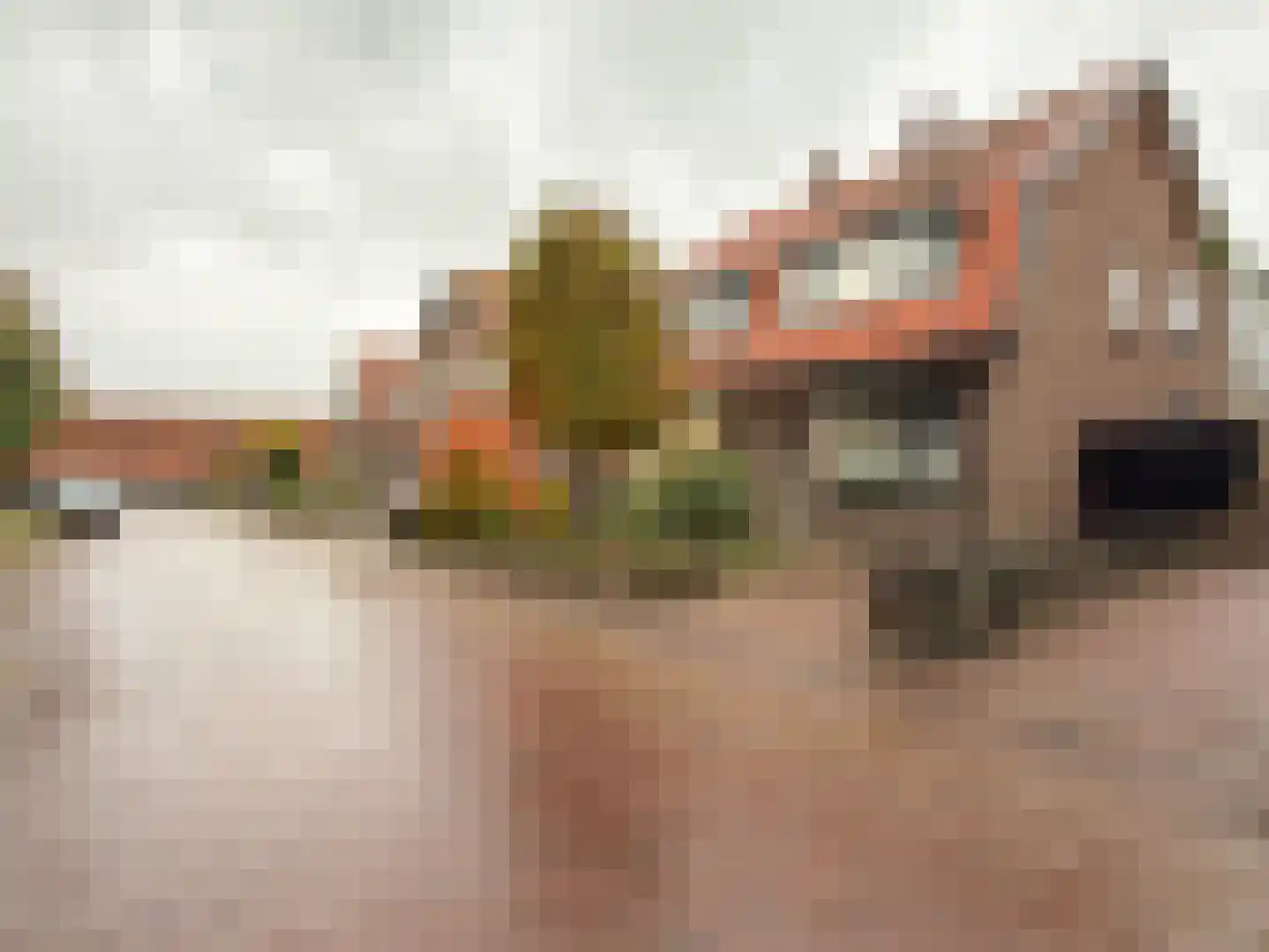 Rijnstraat 11 Amerongen thumbnail 32