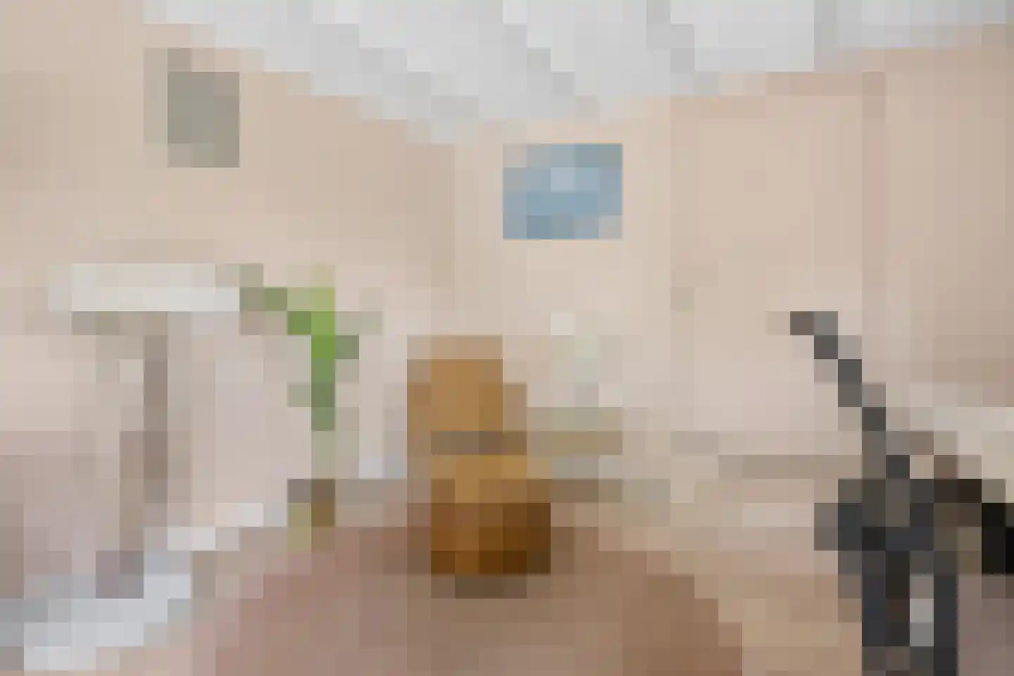 Rijnstraat 11 Amerongen thumbnail 33