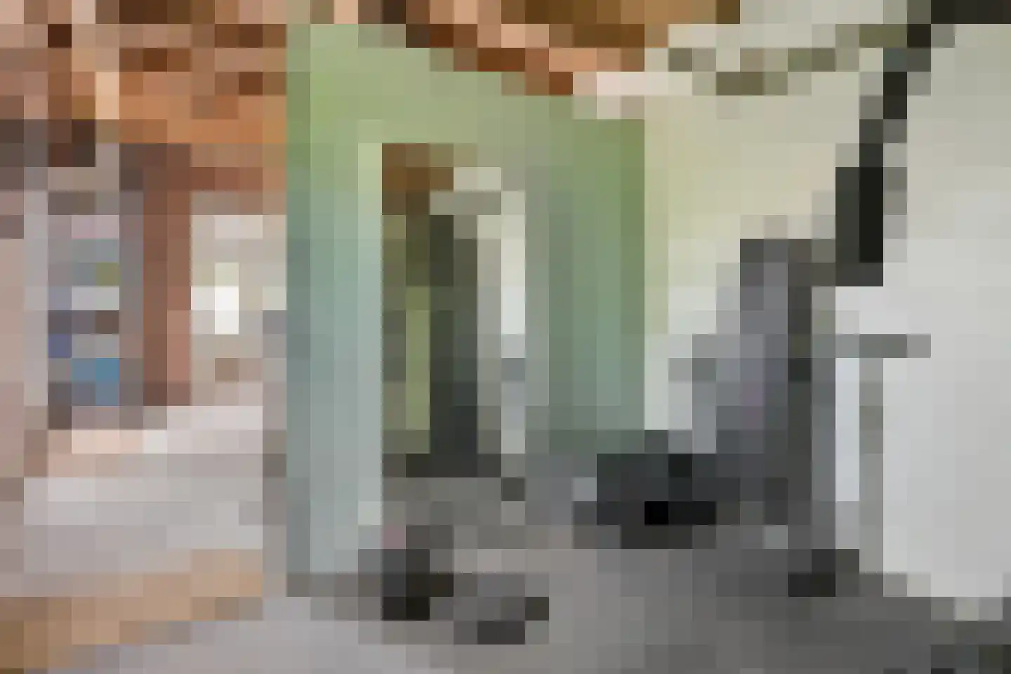 Rijnstraat 11 Amerongen thumbnail 35