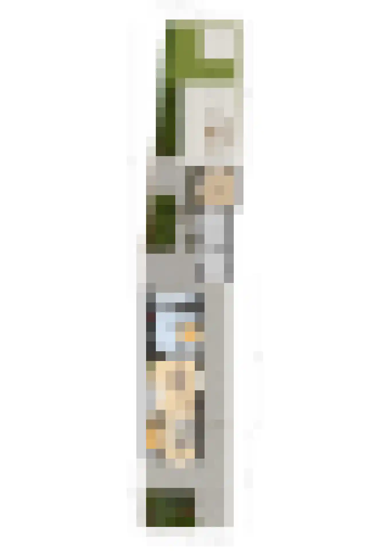 Rijnstraat 11 Amerongen thumbnail 37