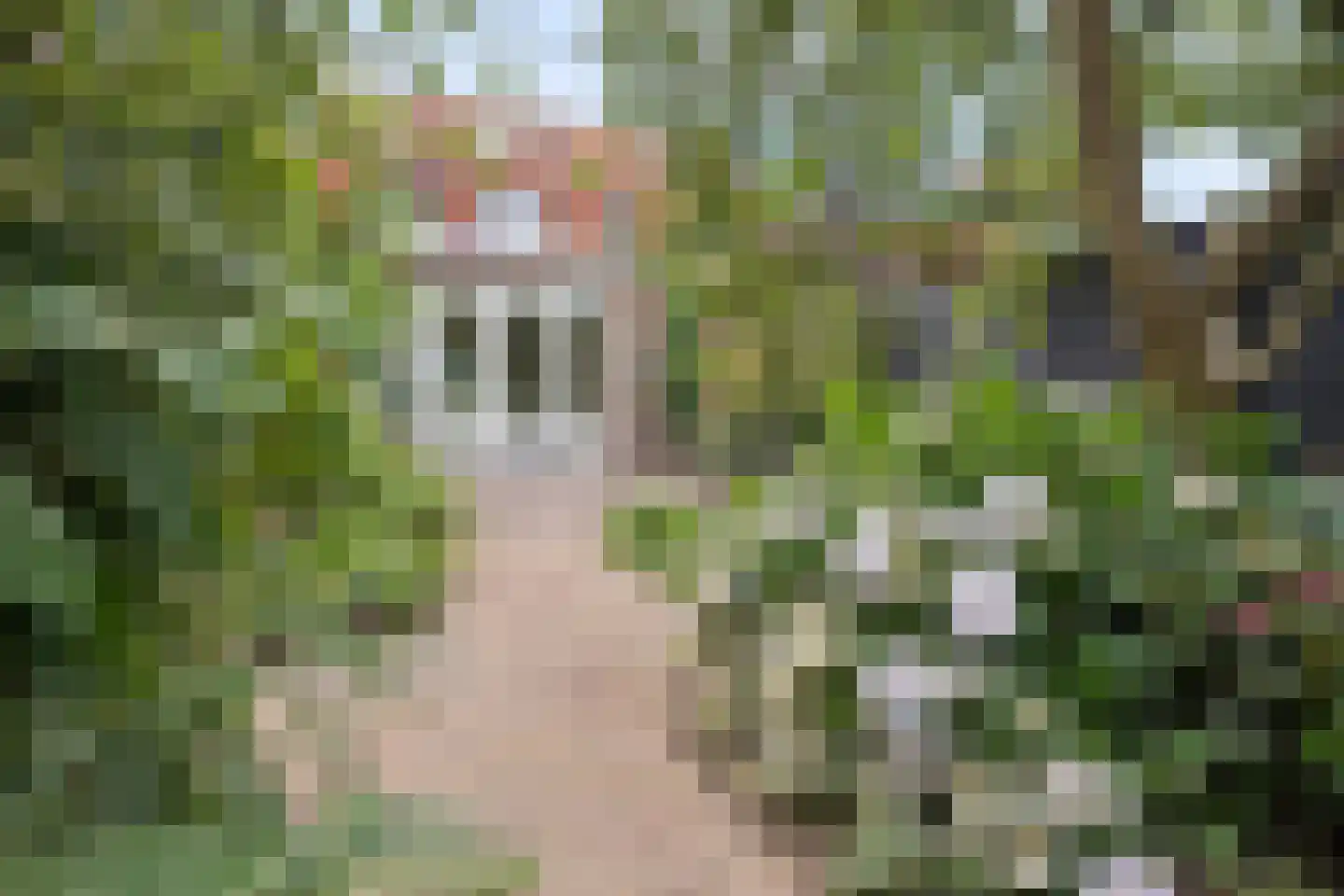 Rijnstraat 11 Amerongen thumbnail 37