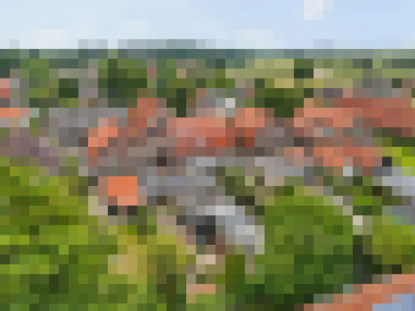 Rijnstraat 11 Amerongen thumbnail 52