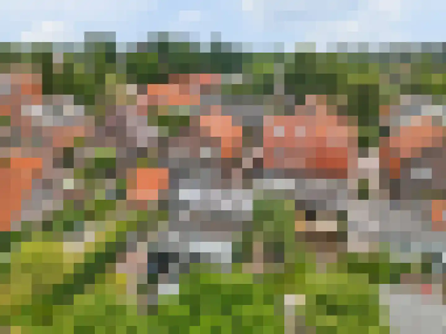 Rijnstraat 11 Amerongen thumbnail 53