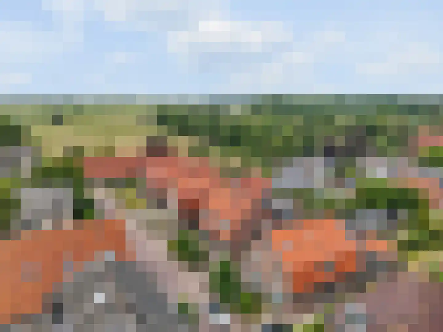 Rijnstraat 11 Amerongen thumbnail 55