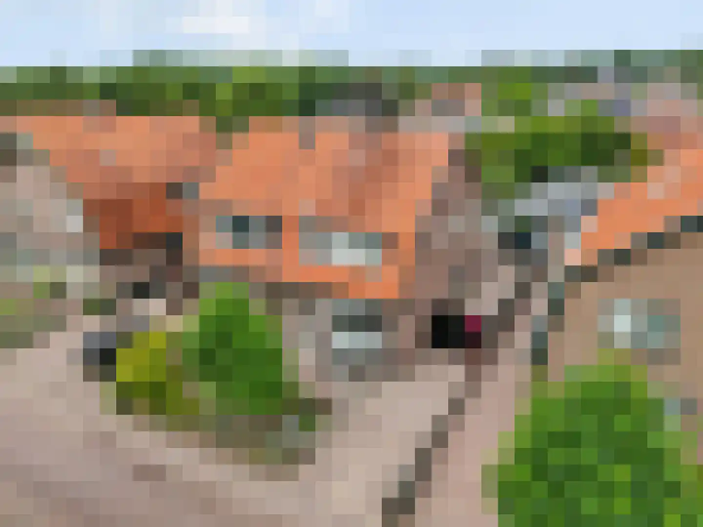 Rijnstraat 11 Amerongen thumbnail 56