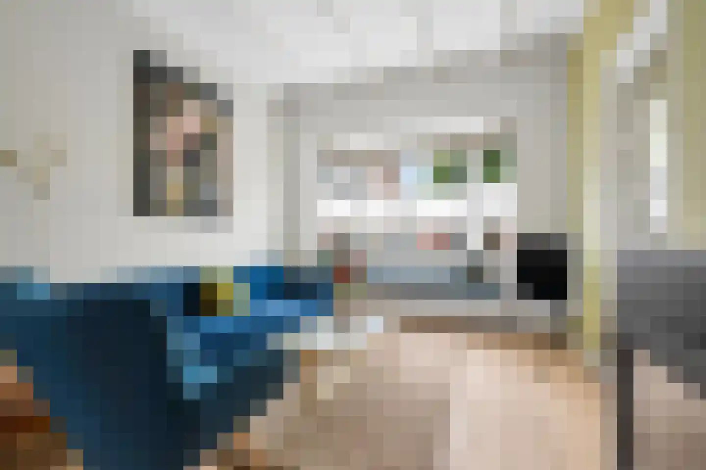 Rijnstraat 11 Amerongen thumbnail 8