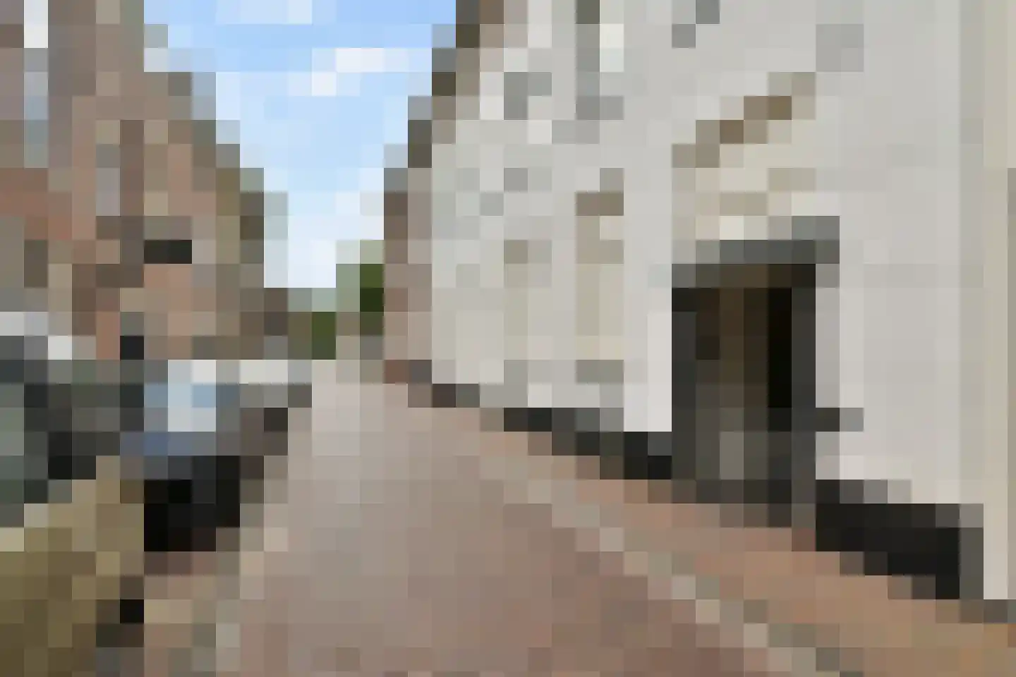 Rijnstraat 11 B Leiden thumbnail 6