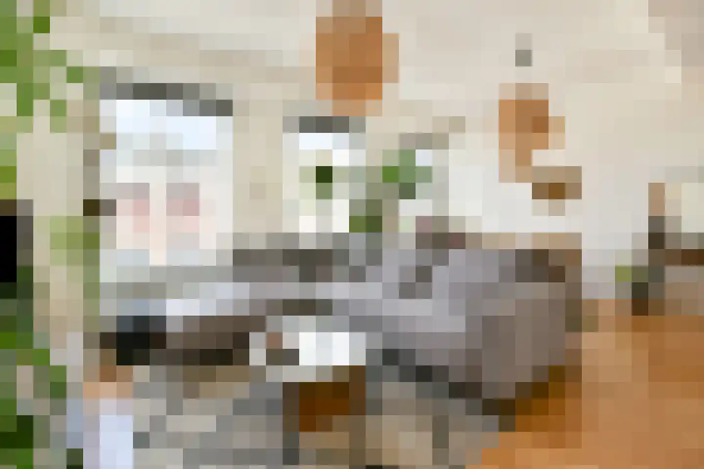 Rijnstraat 11 B Leiden thumbnail 8