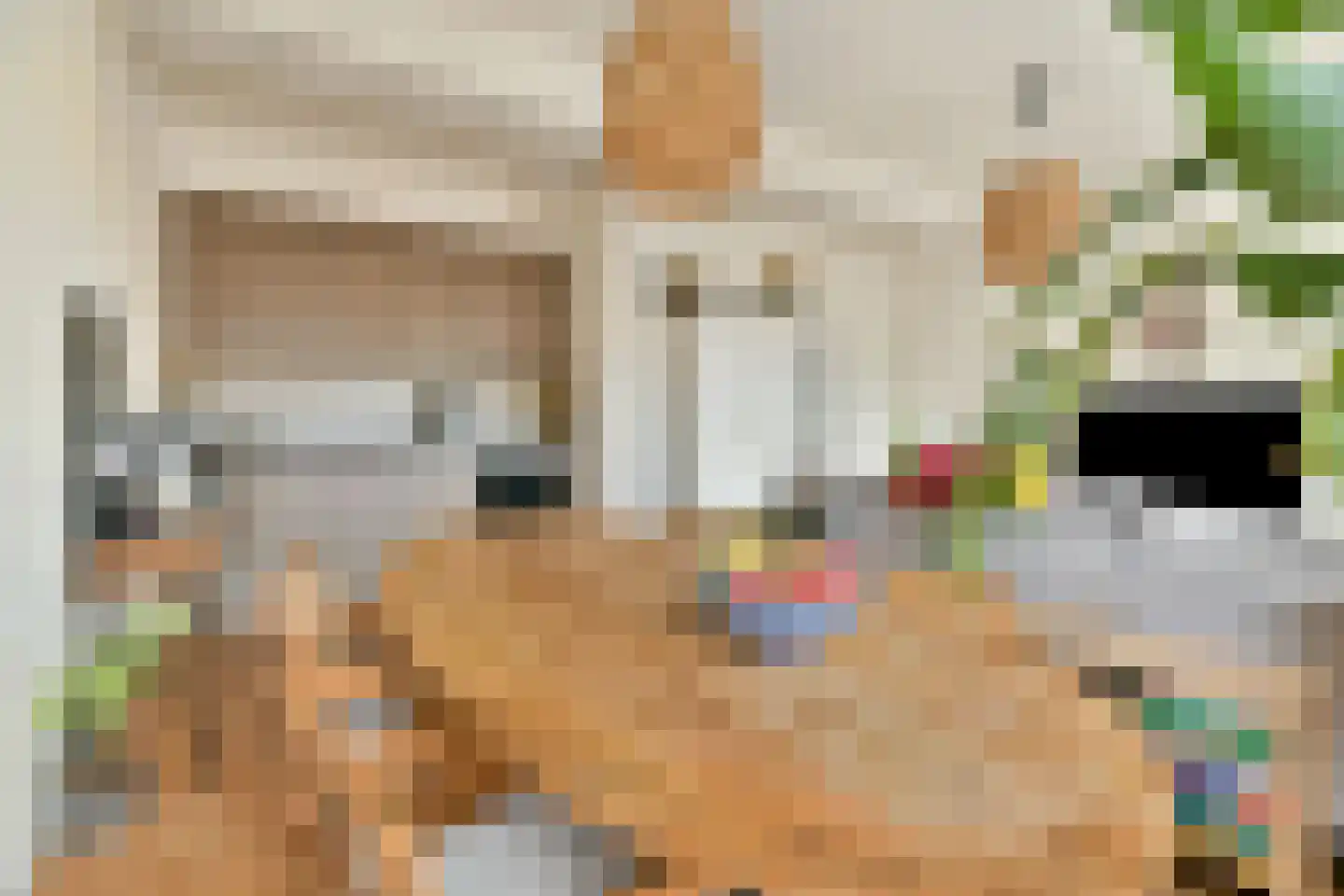 Rijnstraat 11 B Leiden thumbnail 9