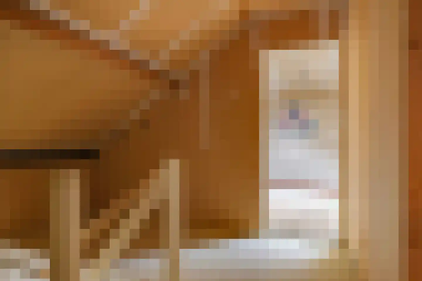 Rijnstraat 11 Doornenburg thumbnail 28
