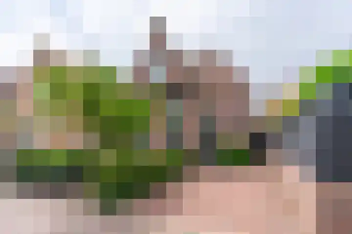 Rijnstraat 116 Katwijk thumbnail 36