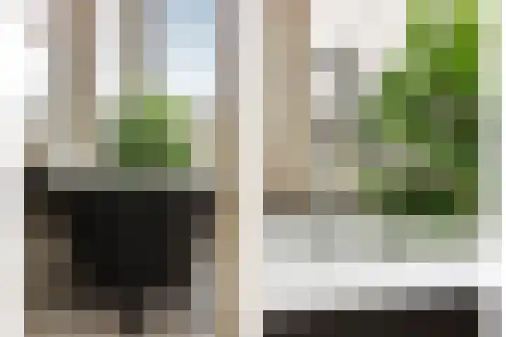 Rijnstraat 12 2 Amsterdam thumbnail 18