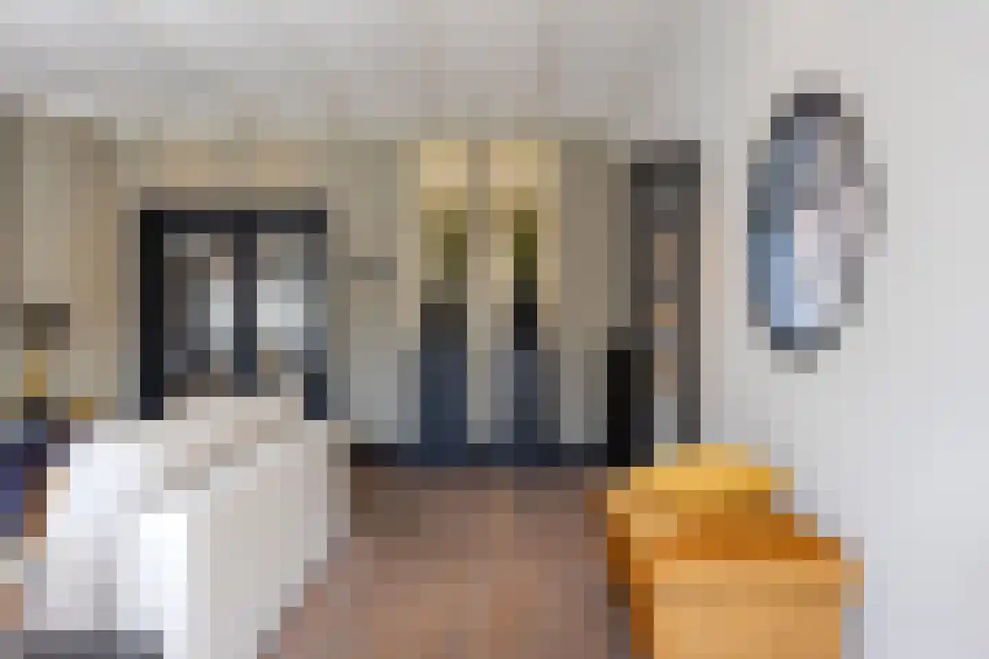 Rijnstraat 13 Eindhoven thumbnail 12
