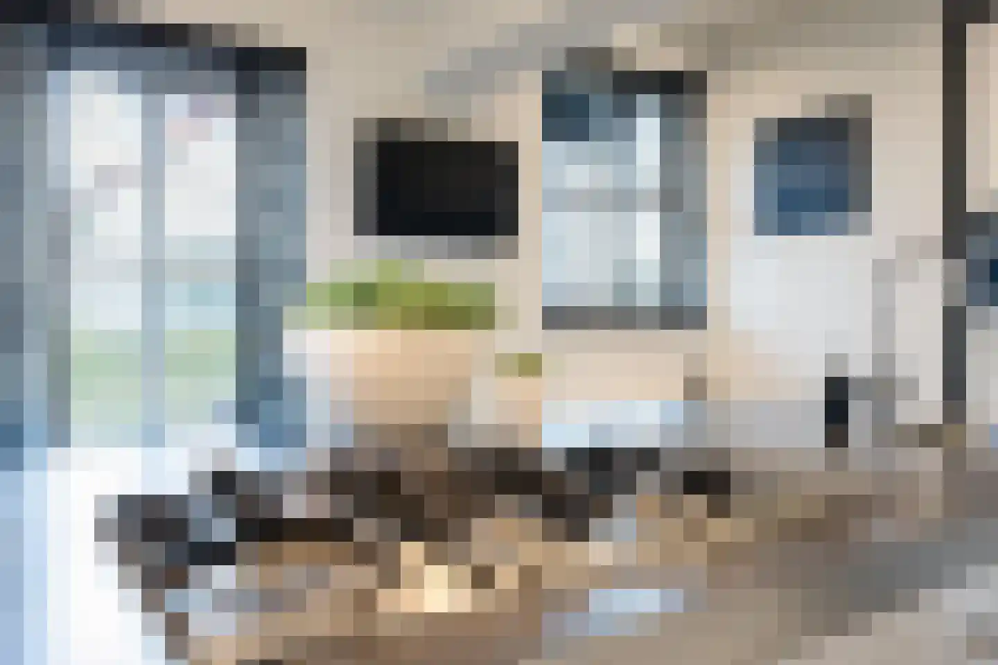 Rijnstraat 13 Eindhoven thumbnail 17