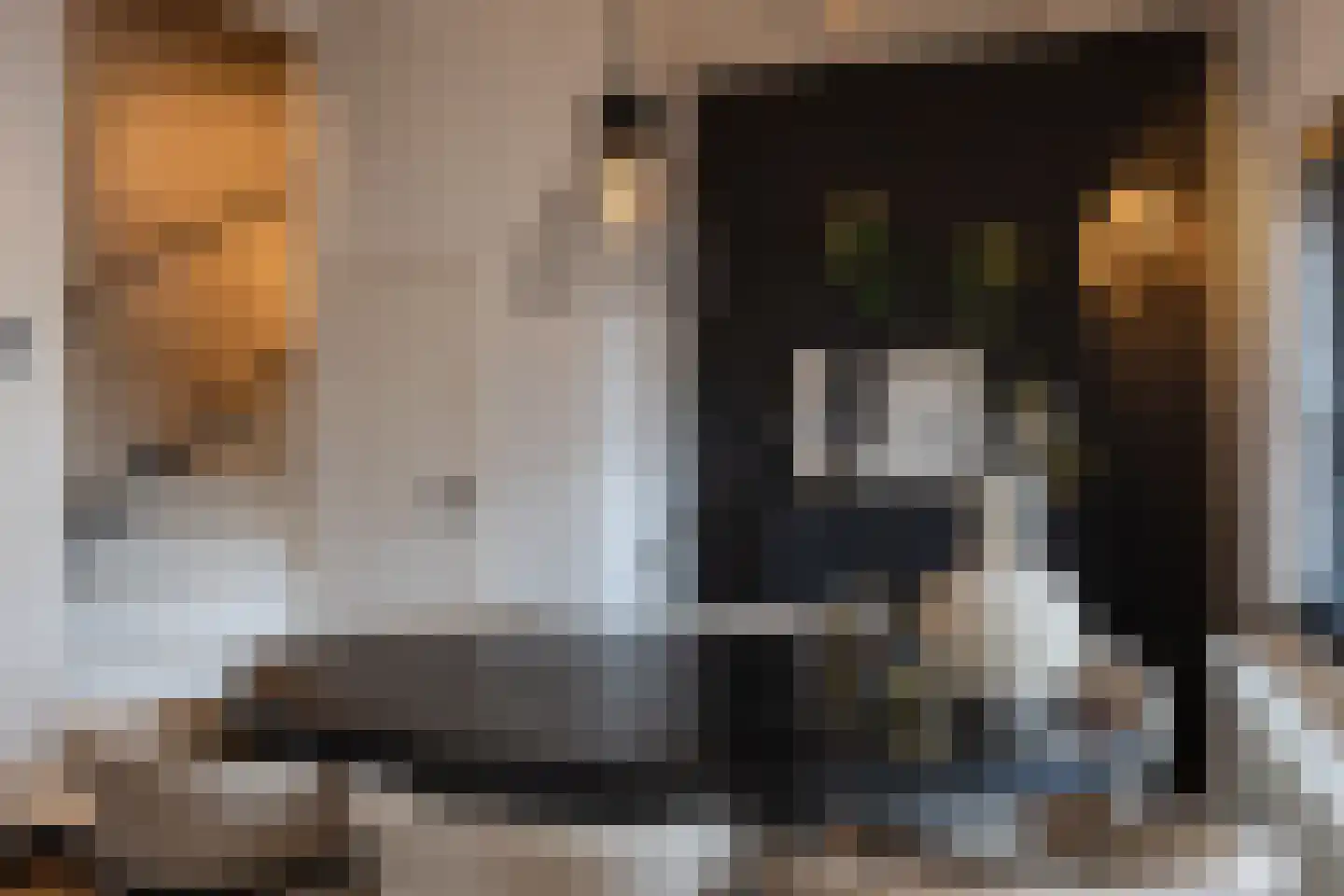 Rijnstraat 13 Eindhoven thumbnail 20