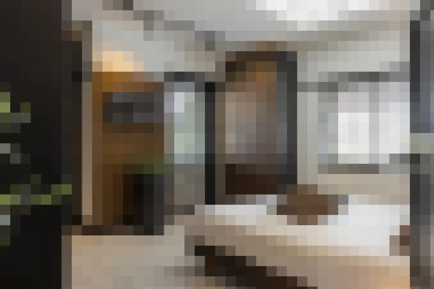 Rijnstraat 13 Eindhoven thumbnail 24