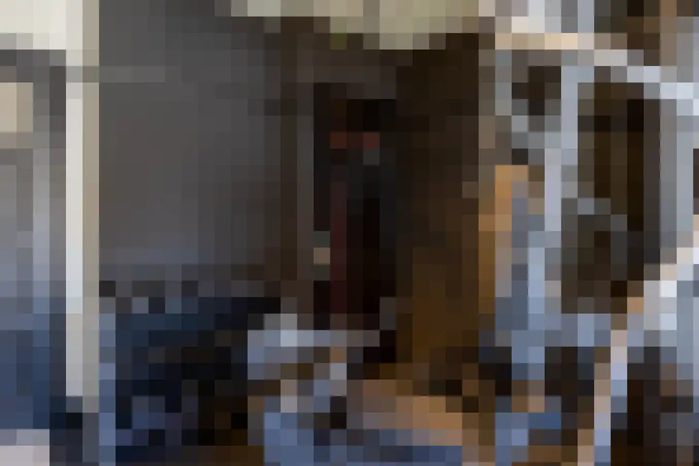 Rijnstraat 13 Eindhoven thumbnail 28