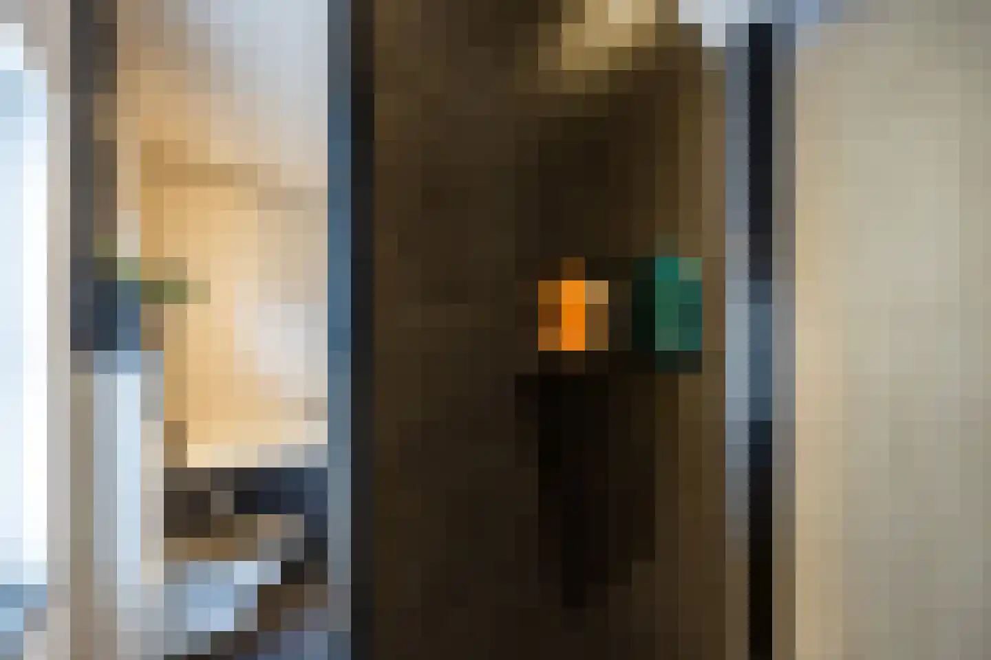 Rijnstraat 13 Eindhoven thumbnail 32
