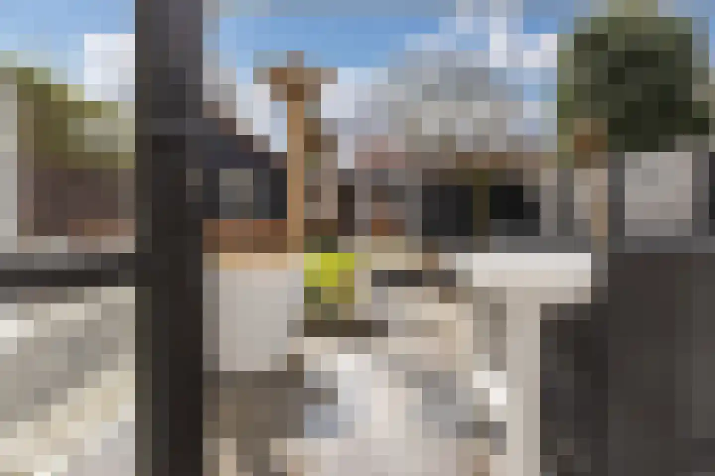Rijnstraat 13 Eindhoven thumbnail 42