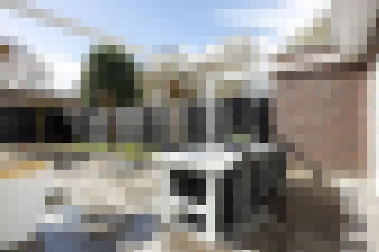 Rijnstraat 13 Eindhoven thumbnail 43